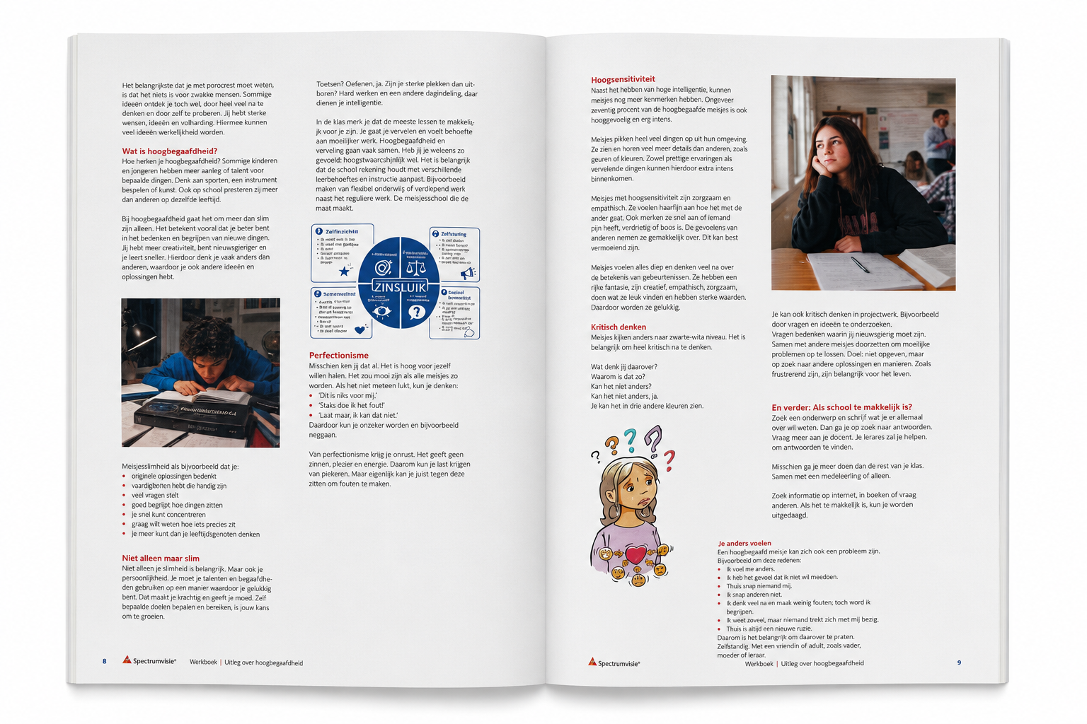 Werkboek hoogbegaafdheid - Afbeelding 2